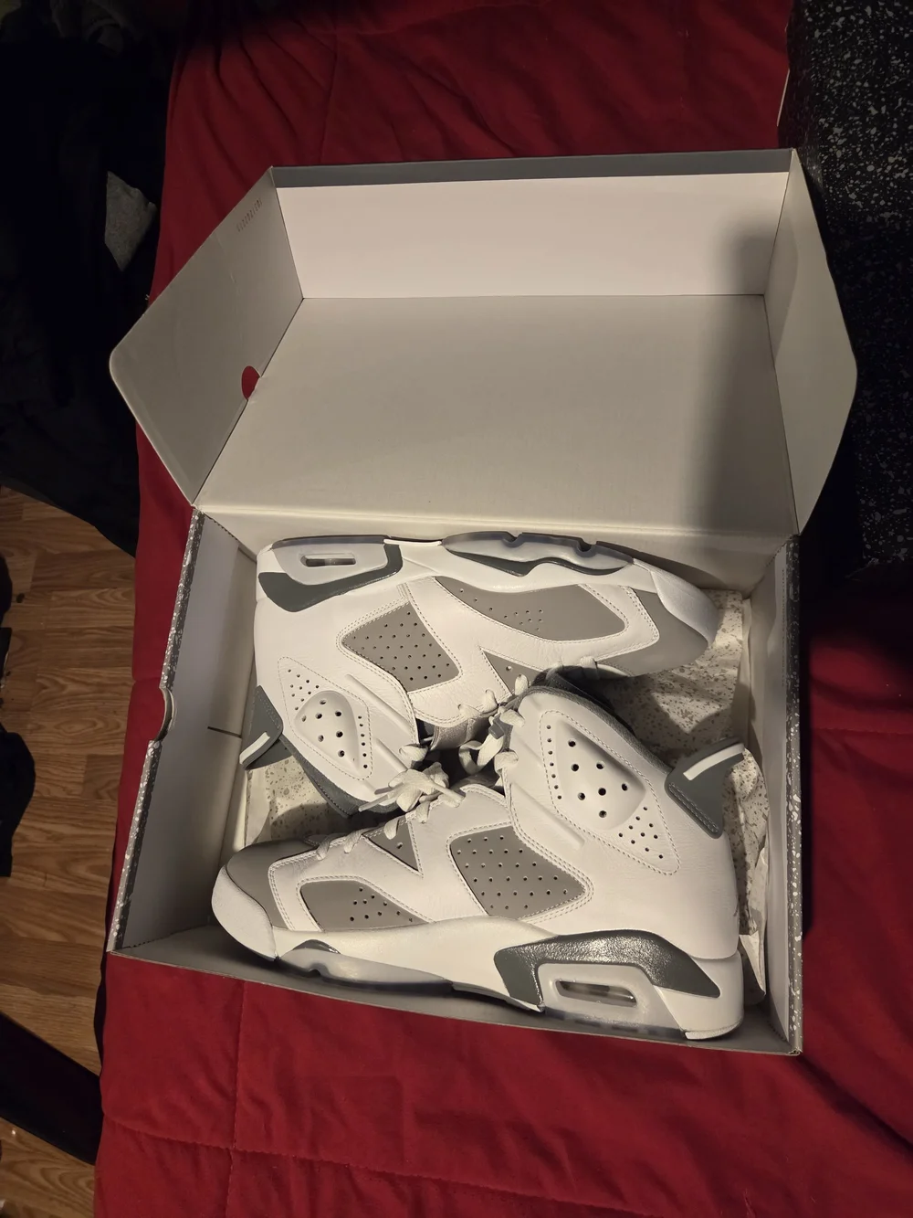 Jordan 6s Cool Grey